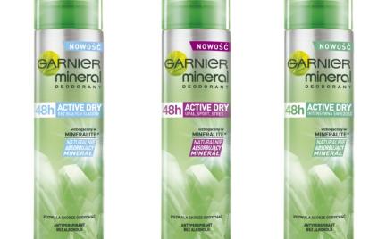 Mineral Active Dry Garnier