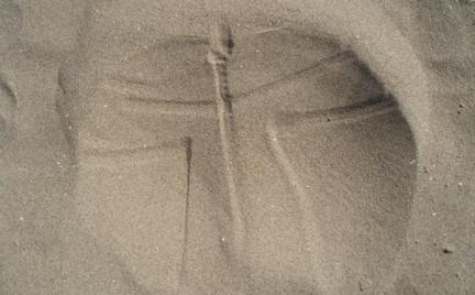 To co w ustach to na biodrach