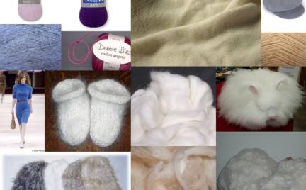 Encyklopedia mody: angora