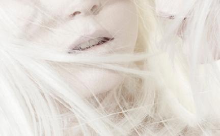 Primed for Perfection MAC