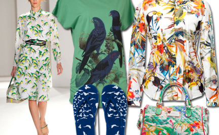 Moda z wybiegów: ptasie nadruki